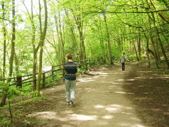 Scheme residents walk together on a sunlit woodland path