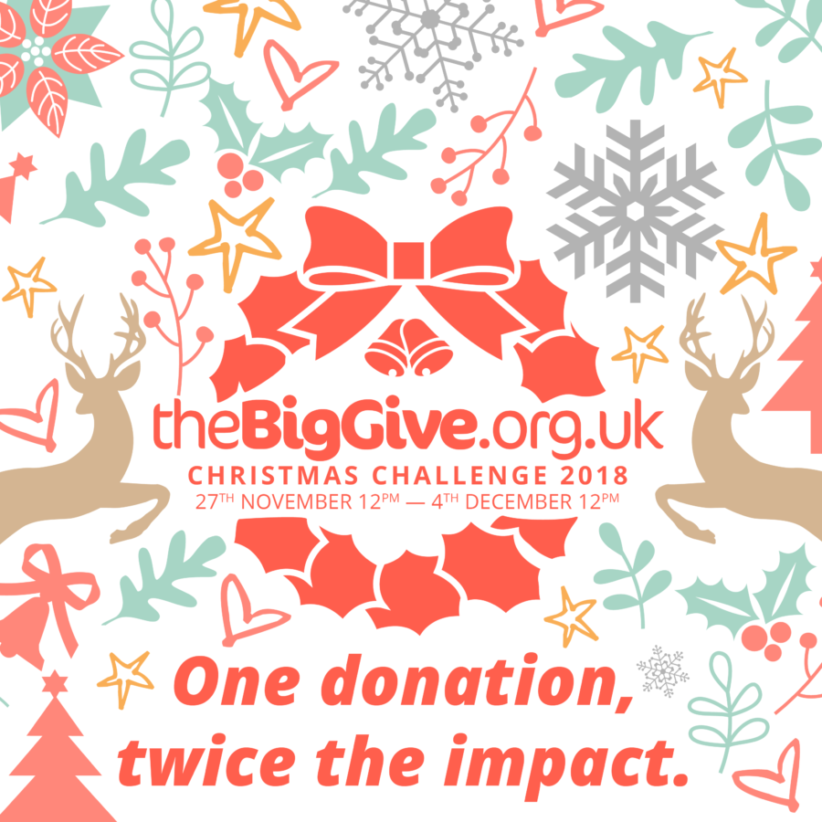 Big Give Christmas Challenge logo