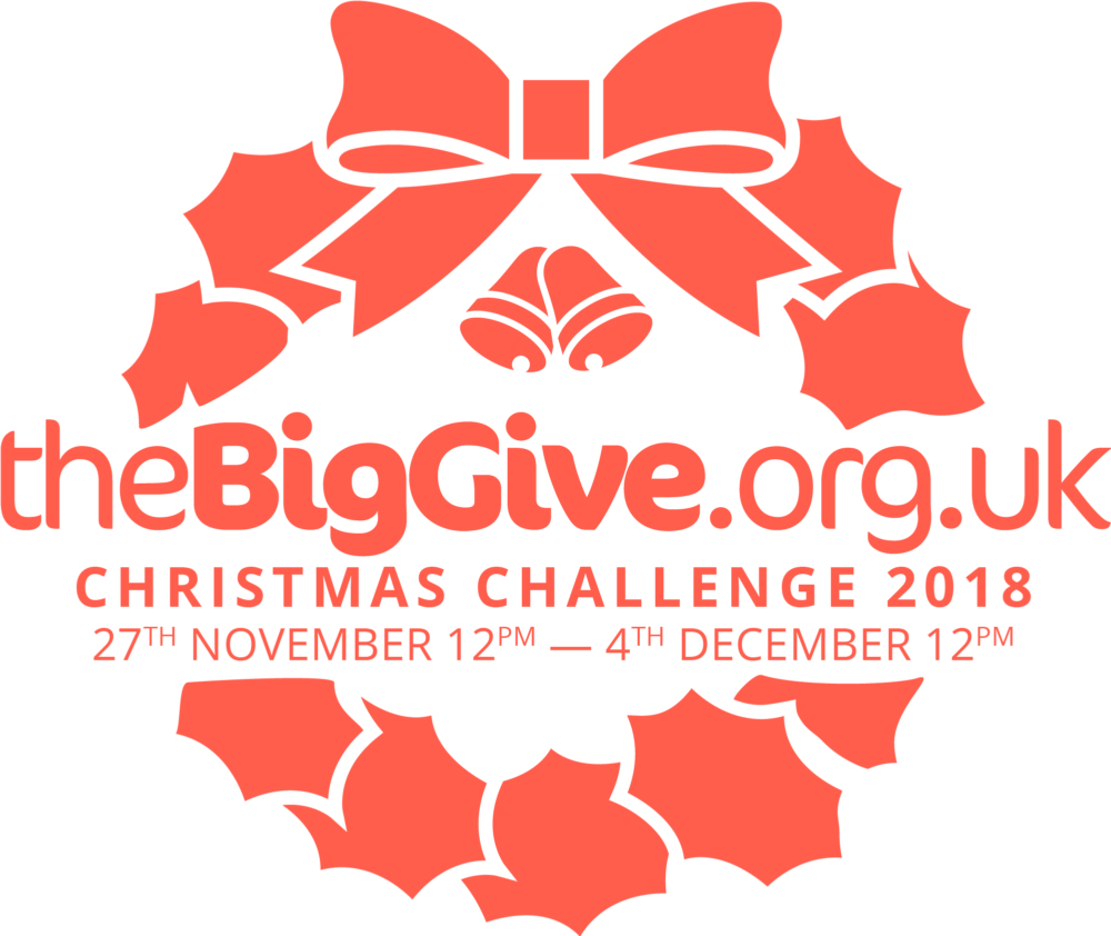 The Big Give Christmas Challenge 2018