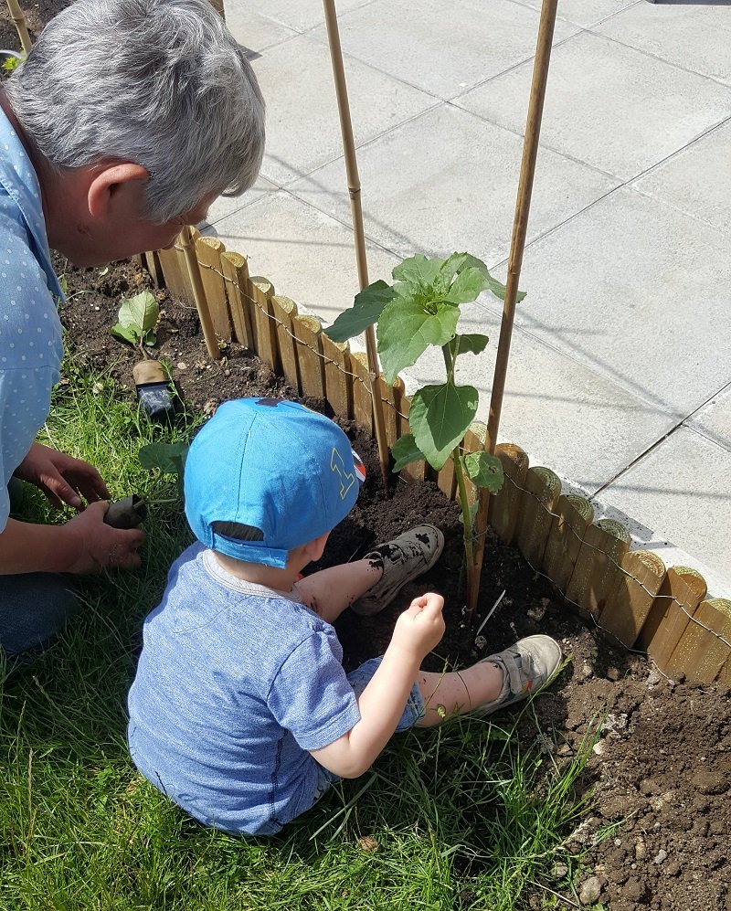 Little boy helps with gardening session