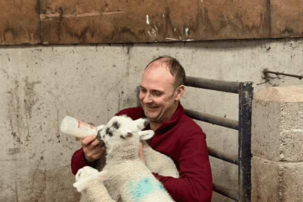 Photo of a veteran experiencing homelessness feeding a lamb as part of a recovery scheme